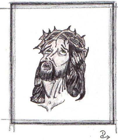 david