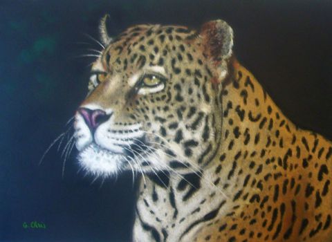GChris